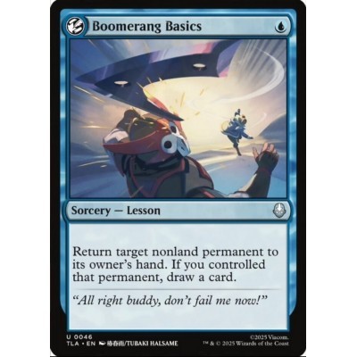Boomerang Basics - TLA -...