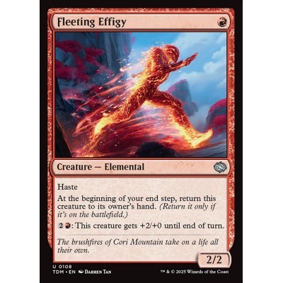 Fleeting Effigy - TDM -...