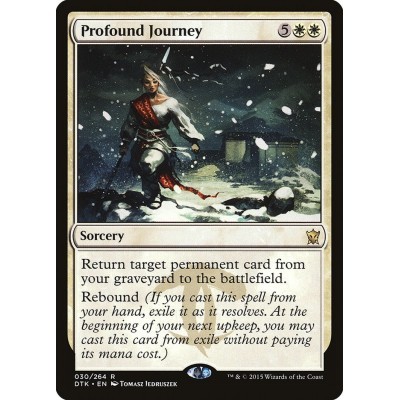 Profound Journey - DTK -...