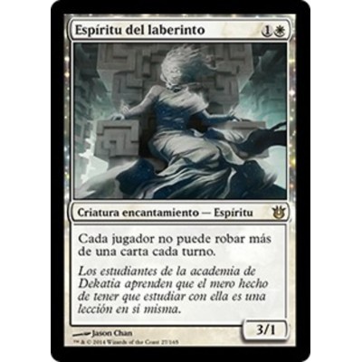 Spirit of the Labyrinth -...