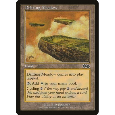 Drifting Meadow - USG -...