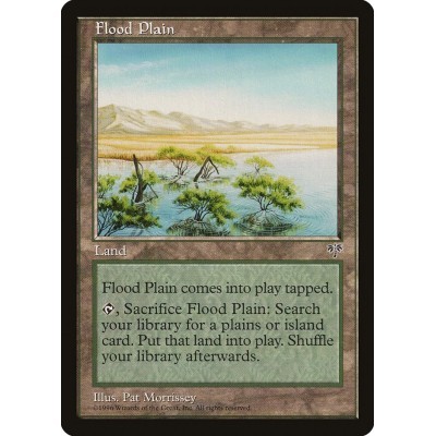 Flood Plain - MIR - Normal...