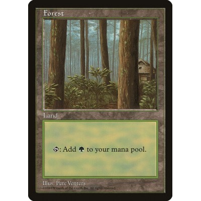 Forest - PALP - Normal - ENG