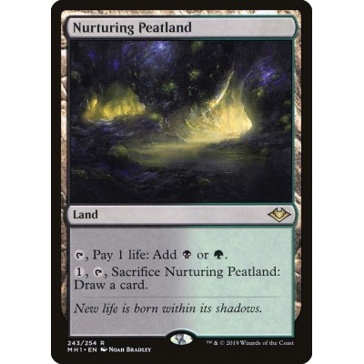 Nurturing Peatland - MH1 -...
