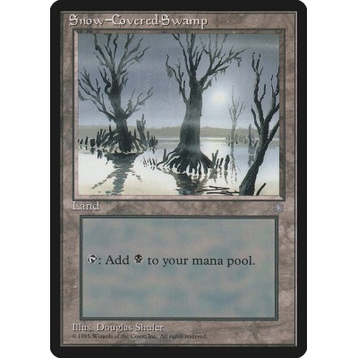 Snow-Covered Swamp - ICE -...