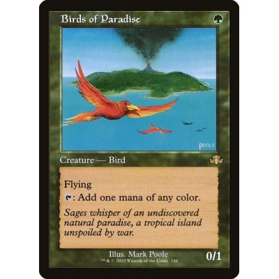 Birds of Paradise - DMR -...