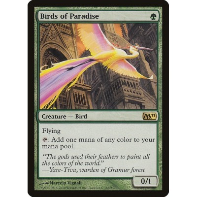 Birds of Paradise - M11 -...