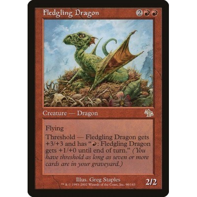 Fledgling Dragon - JUD -...