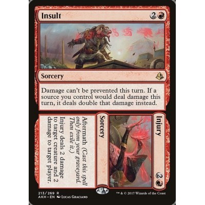 Insult // Injury - AKH -...