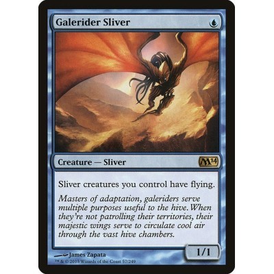Galerider Sliver - M14 -...
